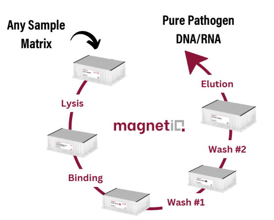 A diagram of the DNA/RNA extraction process in five steps. 