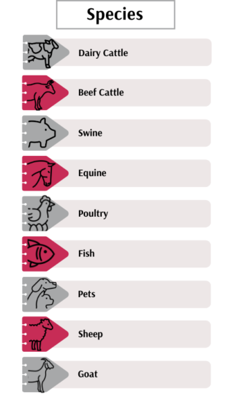 A list of species, mostly livestock, and their names. 